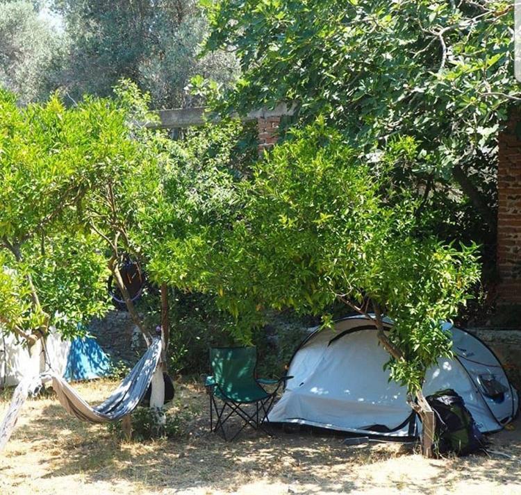 גומושלוק Bodrum Masali Camping מראה חיצוני תמונה