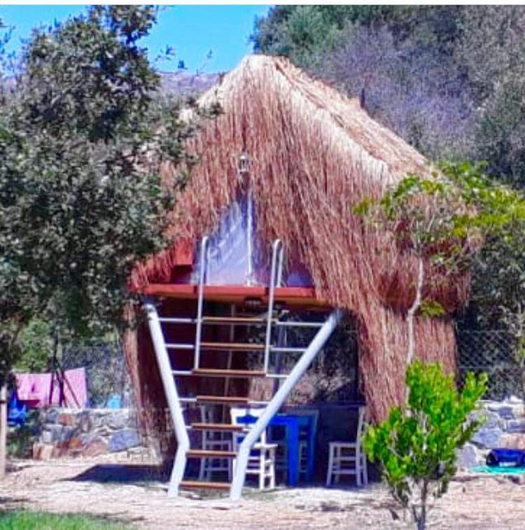 גומושלוק Bodrum Masali Camping מראה חיצוני תמונה