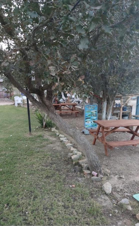 גומושלוק Bodrum Masali Camping מראה חיצוני תמונה