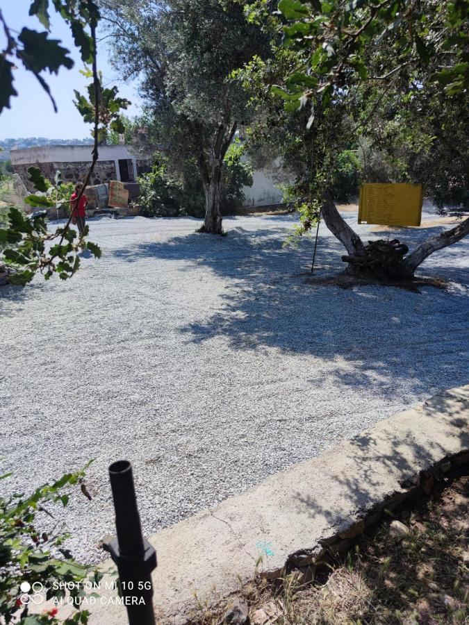 גומושלוק Bodrum Masali Camping מראה חיצוני תמונה