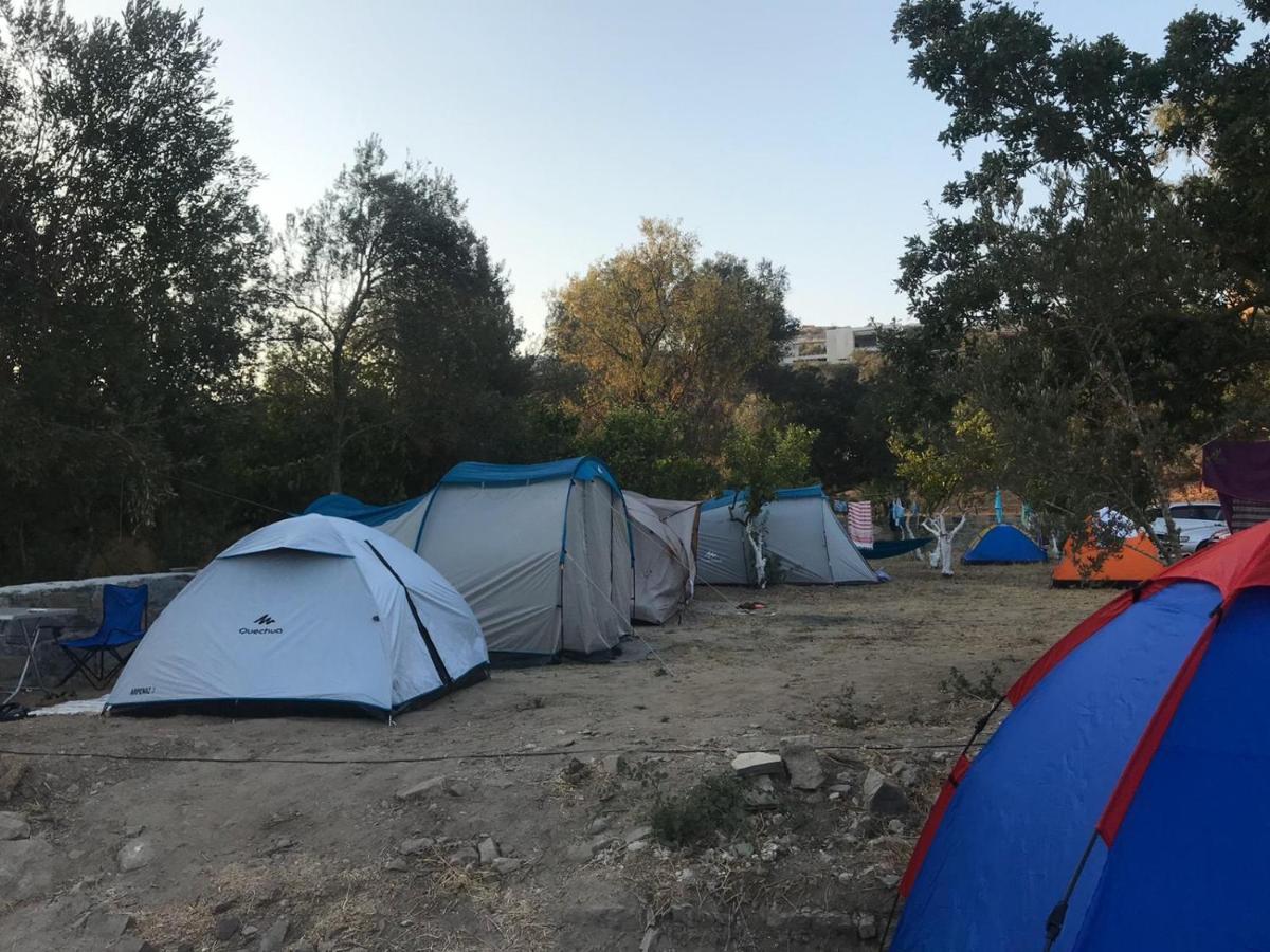 גומושלוק Bodrum Masali Camping מראה חיצוני תמונה