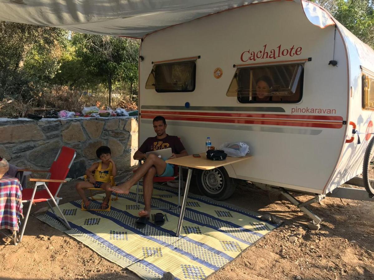 גומושלוק Bodrum Masali Camping מראה חיצוני תמונה